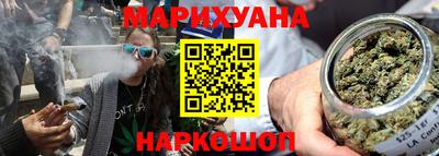 Альфа ПВП Малгобек