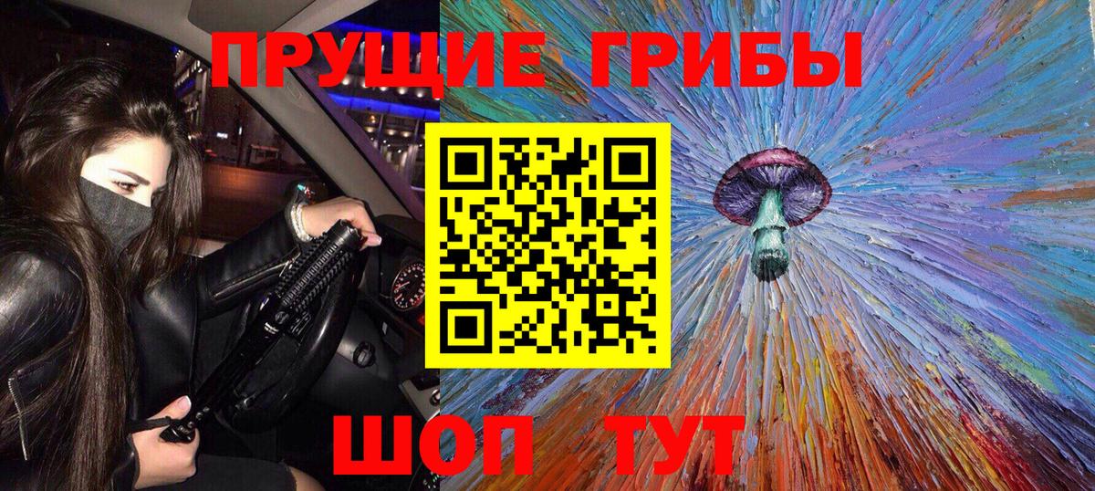 закладка  Галлюциногенные грибы Psilocybine cubensis  Вход с VPN  Азов 