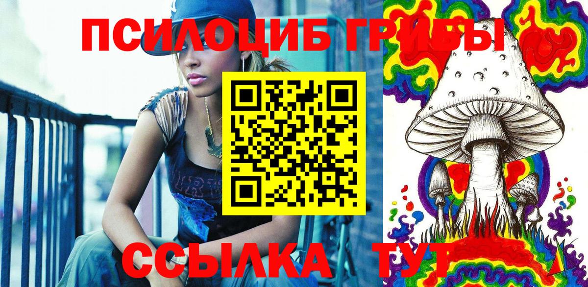 Псилоцибиновые грибы Psilocybe Азов